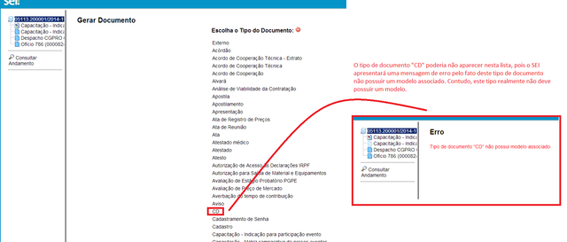 Erroaogerardocumentointerno tipocd display