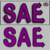 Sae logo.fw bigicon